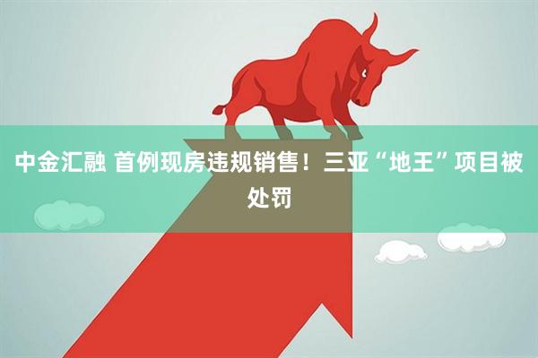 中金汇融 首例现房违规销售！三亚“地王”项目被处罚